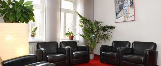 Schwarze Ledersofas in einem hellen Raum mit Pflanzen und einem Bild an der Wand.